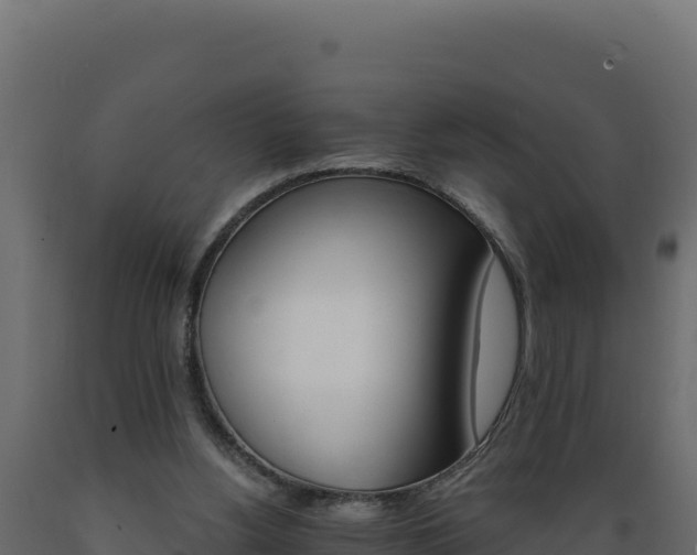 X0000089940156200707061107