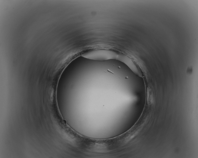 X0000089940157200707061107