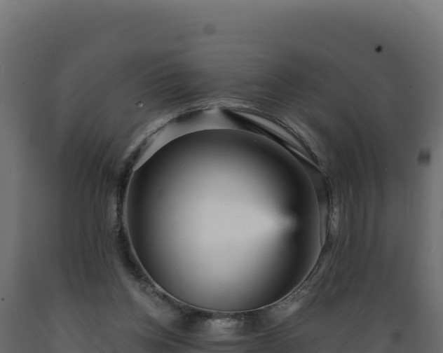 X0000089940158200707061107