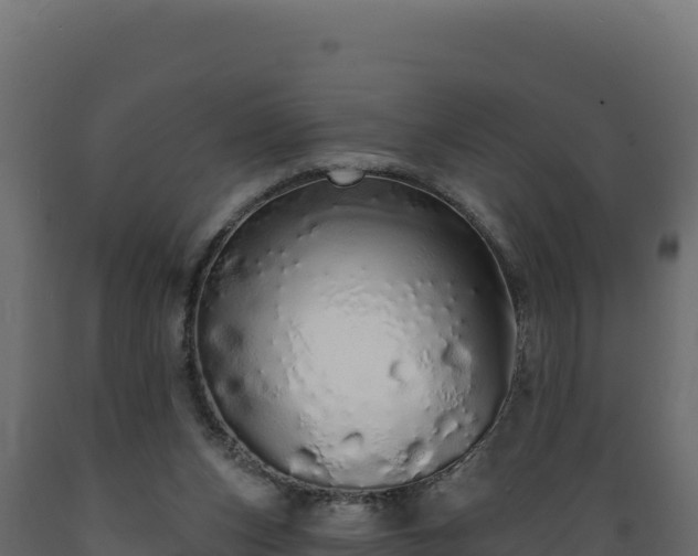 X0000089940159200707061107