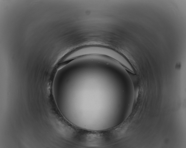 X0000089940160200707061107