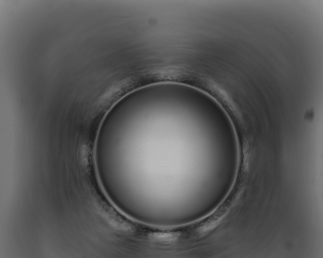 X0000089940161200707061107