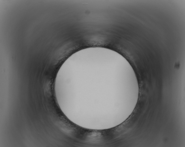 X0000089940162200707061107