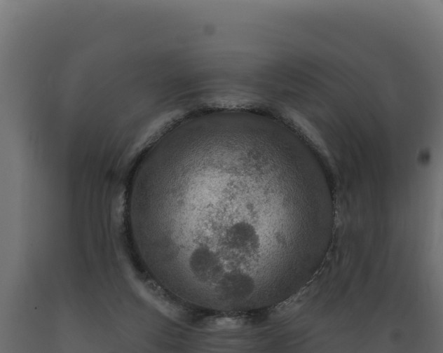 X0000089940163200707061107