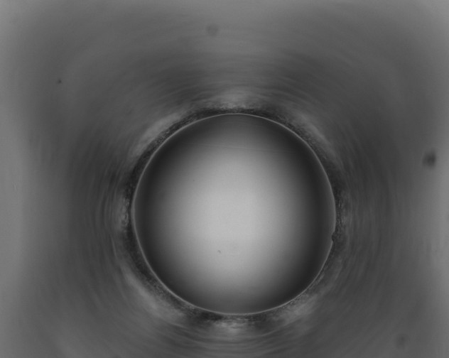 X0000089940164200707061107