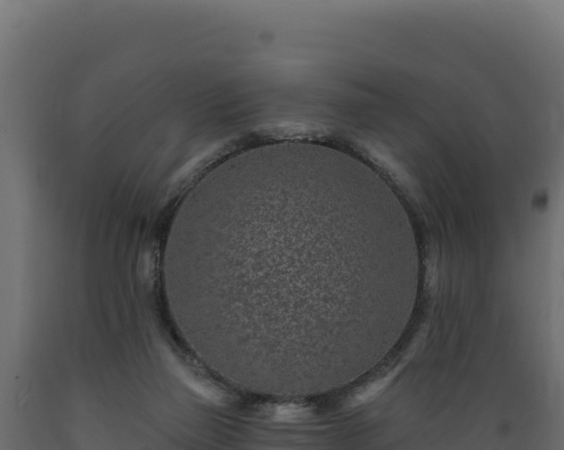 X0000089940165200707061107