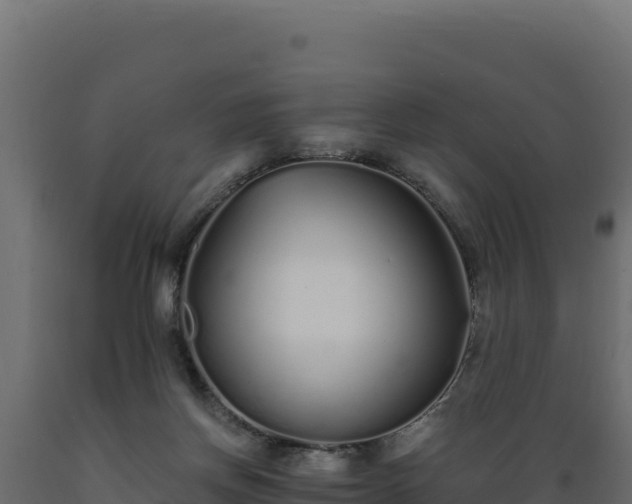 X0000089940166200707061107