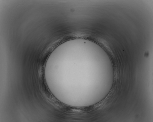 X0000089940167200707061107