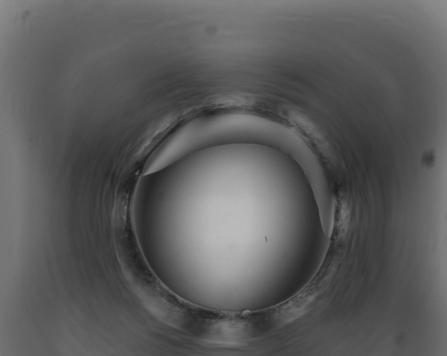 X0000089940168200707061107