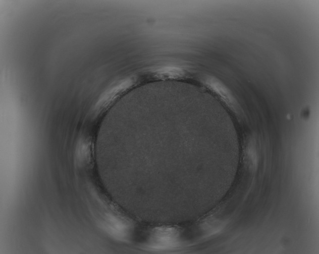 X0000089940169200707061107