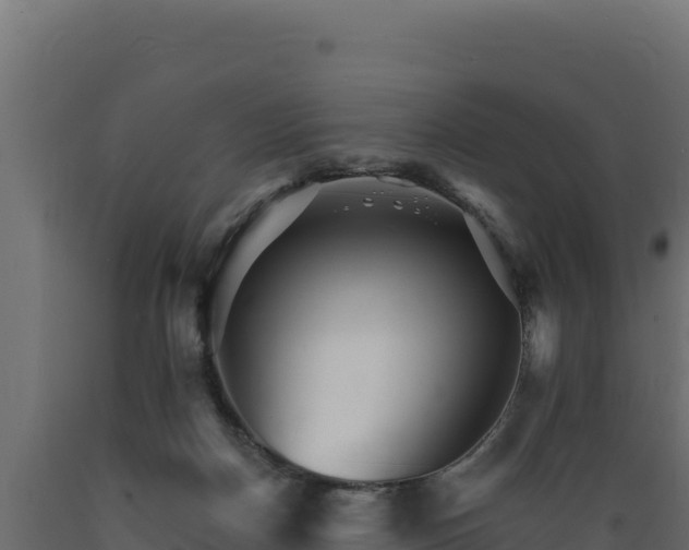 X0000089940170200707061107