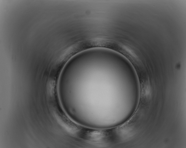 X0000089940171200707061107