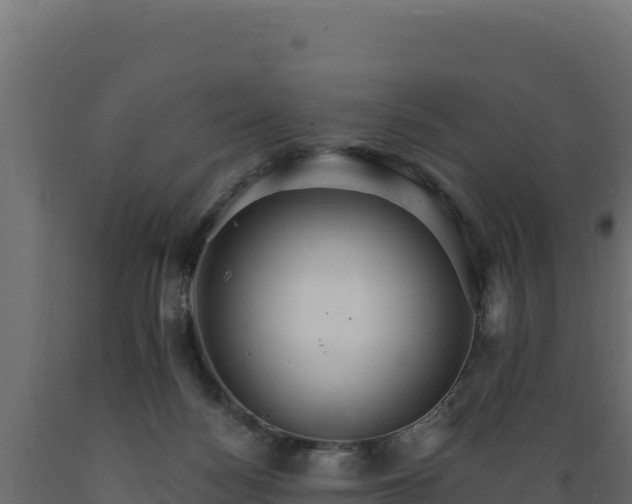 X0000089940172200707061107