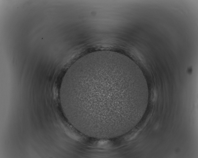 X0000089940173200707061107