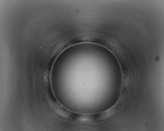 X0000089940175200707061107