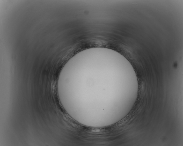 X0000089940177200707061108