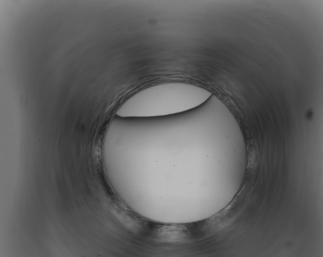 X0000089940179200707061108