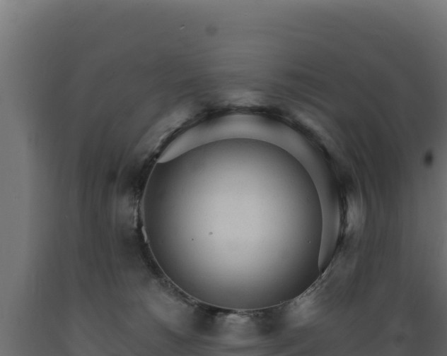 X0000089940180200707061108