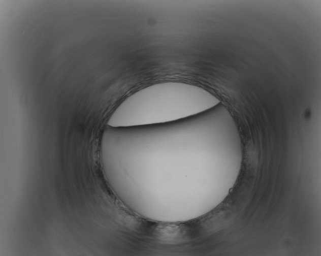 X0000089940181200707061108