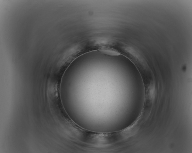 X0000089940182200707061108