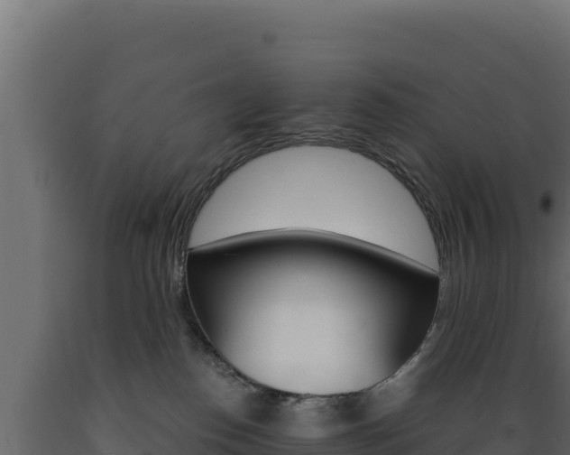 X0000089940186200707061108