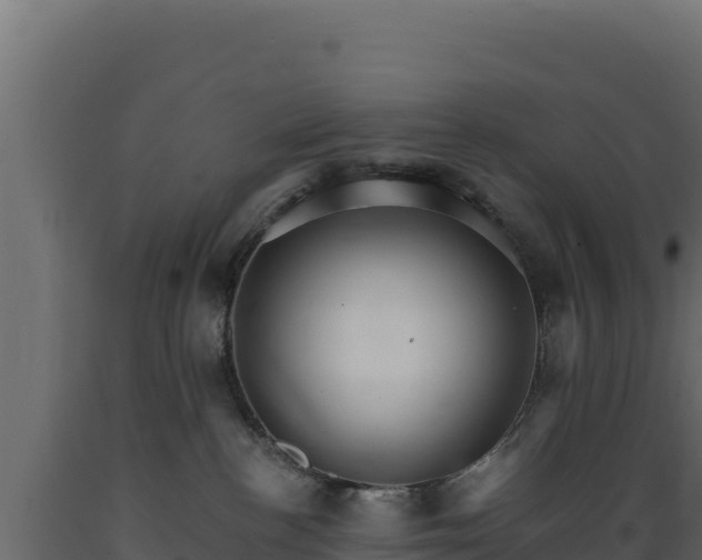 X0000089940188200707061108