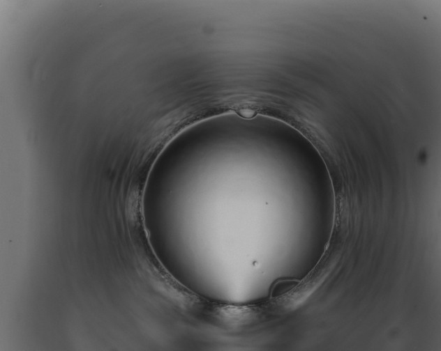 X0000089940189200707061108