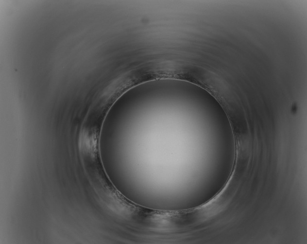 X0000089940190200707061108