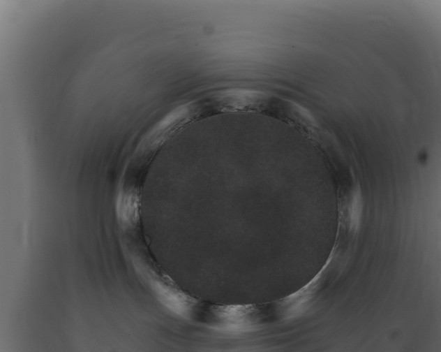 X0000089940191200707061108