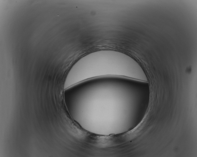 X0000089940192200707061108