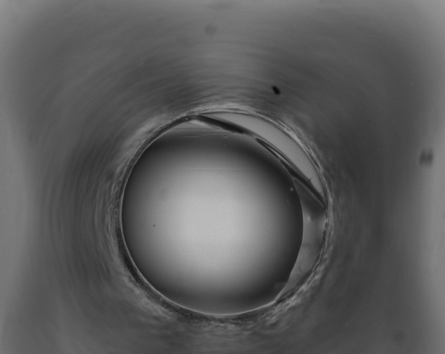 X0000089940193200707061107