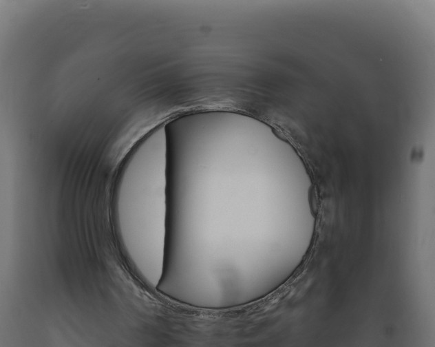 X0000089940194200707061107