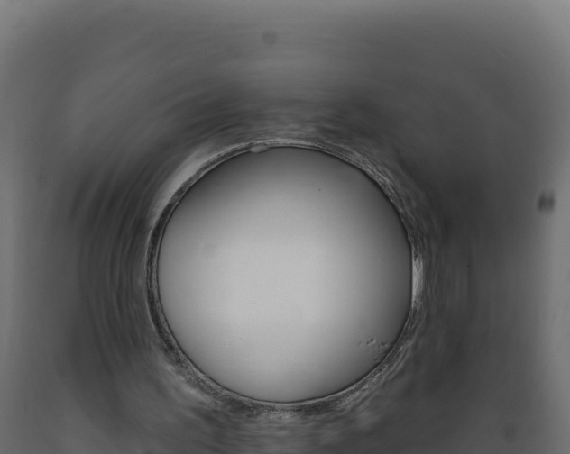 X0000089940195200707061107