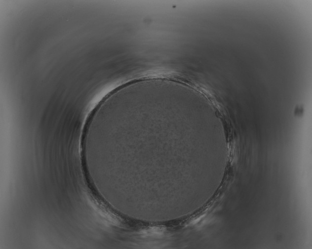 X0000089940196200707061107