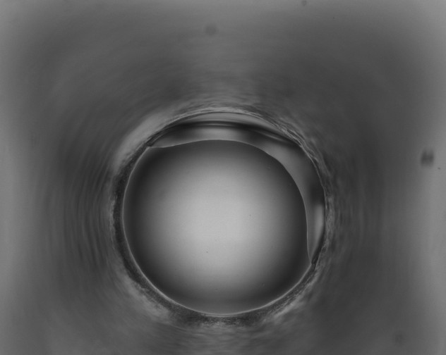 X0000089940197200707061107