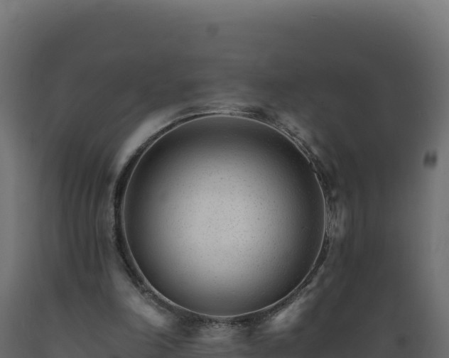 X0000089940198200707061107