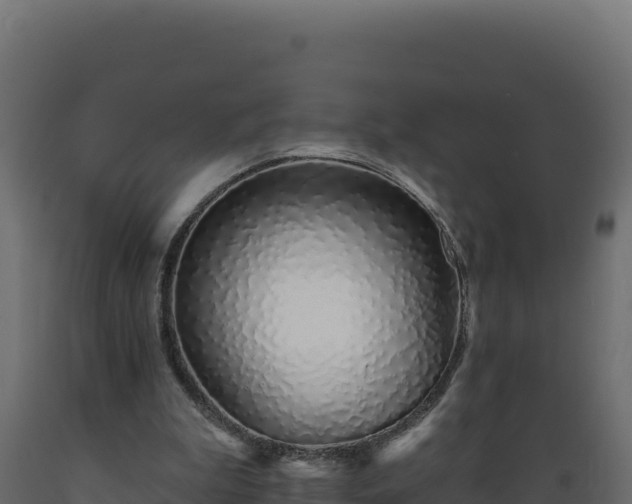 X0000089940199200707061107