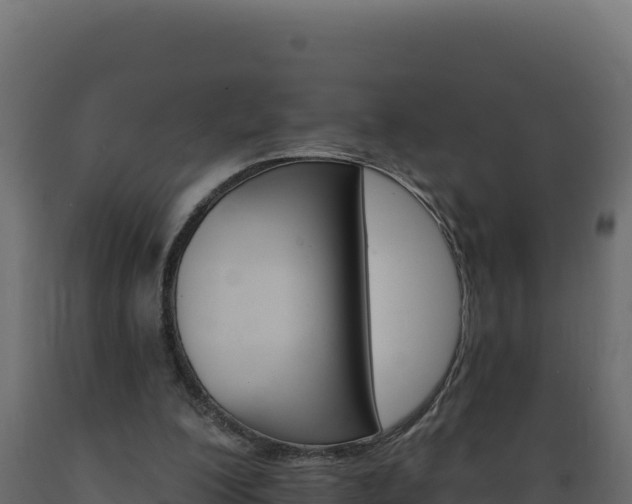 X0000089940200200707061107