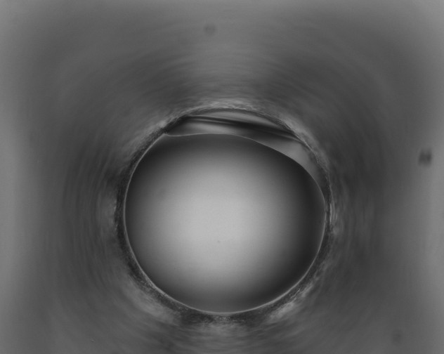 X0000089940201200707061107