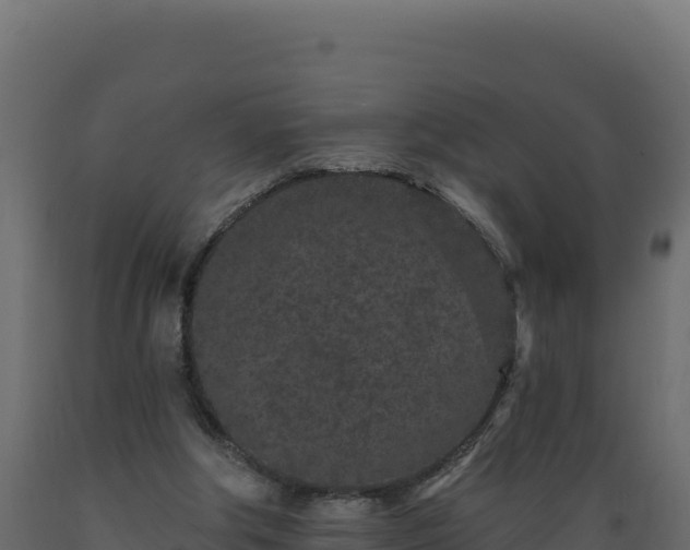 X0000089940202200707061107