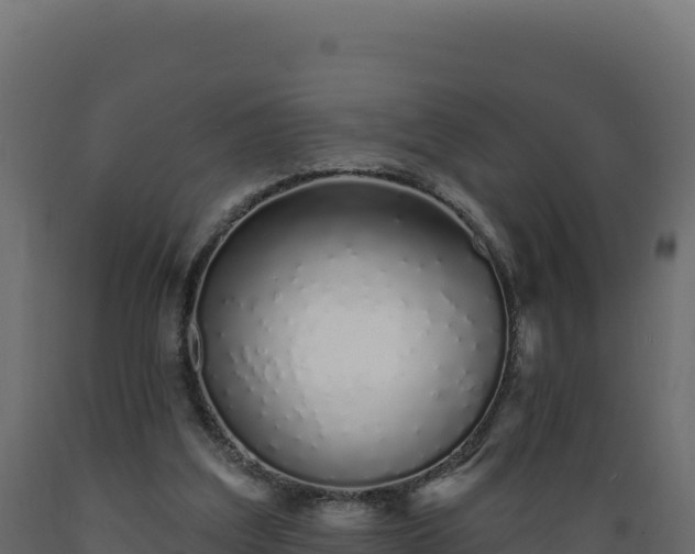 X0000089940203200707061107