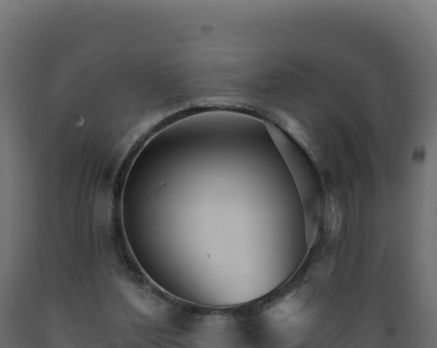 X0000089940204200707061107