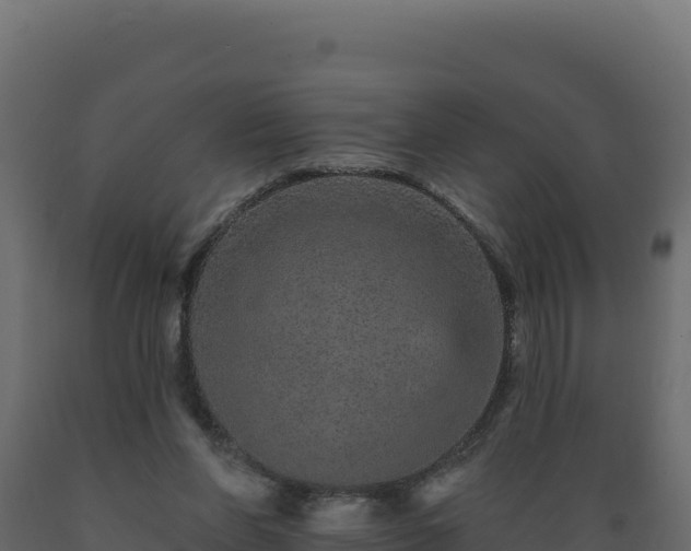 X0000089940206200707061107