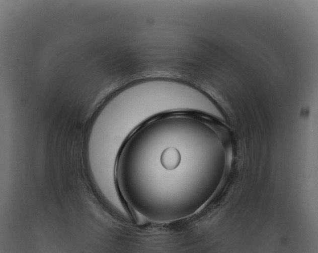 X0000089940207200707061107