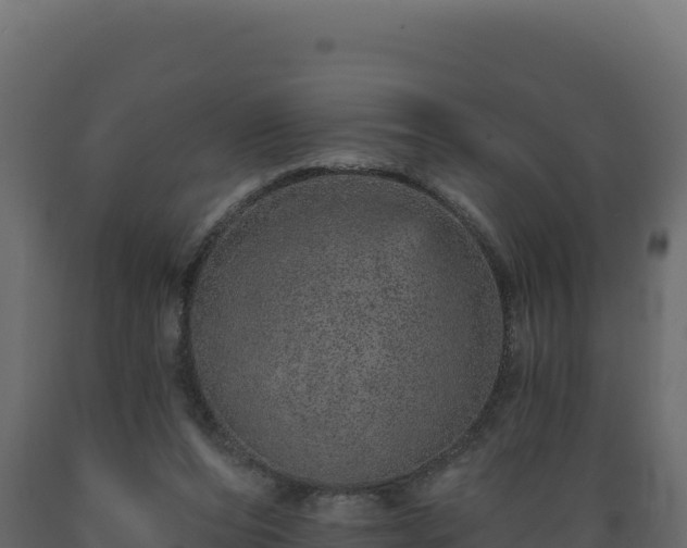 X0000089940208200707061107