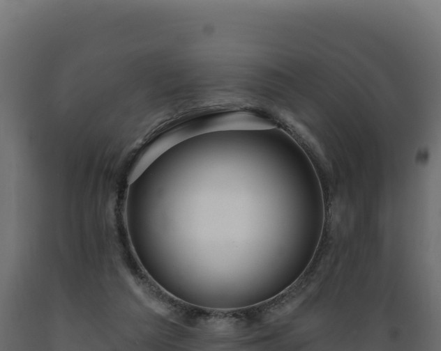 X0000089940209200707061107