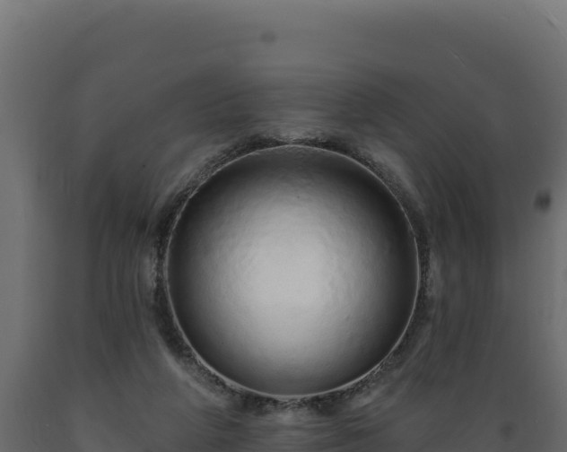 X0000089940210200707061107