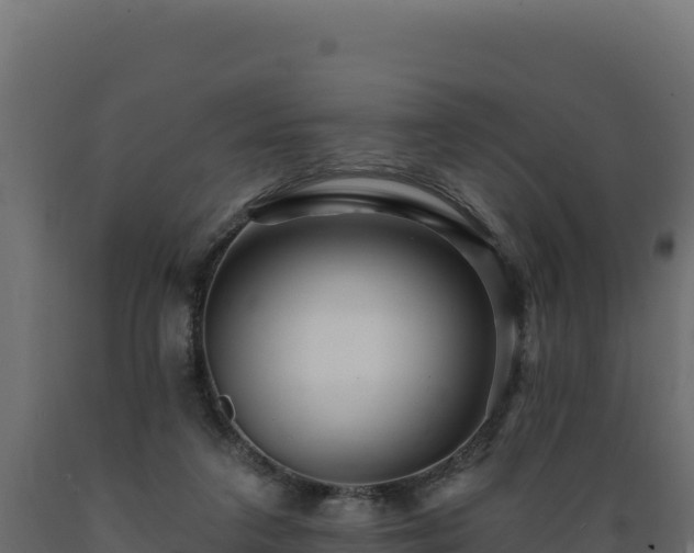 X0000089940211200707061107