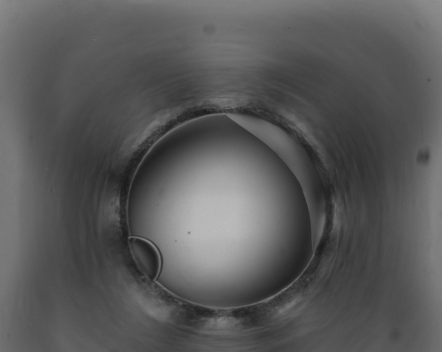 X0000089940212200707061107