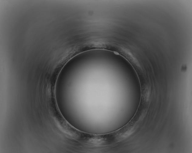 X0000089940213200707061107